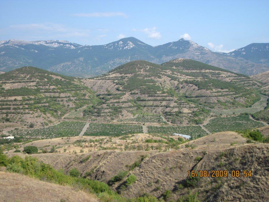 Привітне з panoramio.com (ч.2) - Привітне