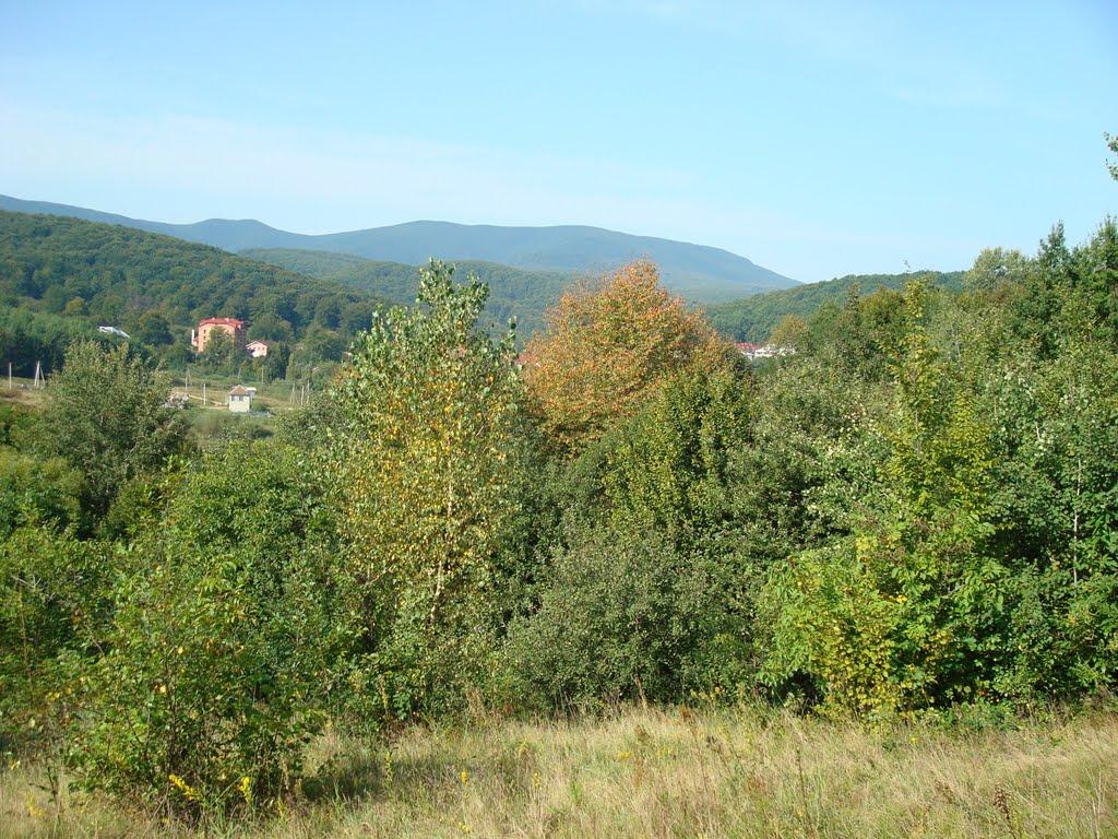 Поляна з panoramio.com - Поляна