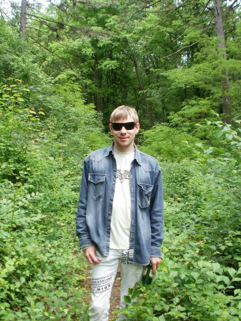 Зелений Гай з panoramio.com - Зелений Гай