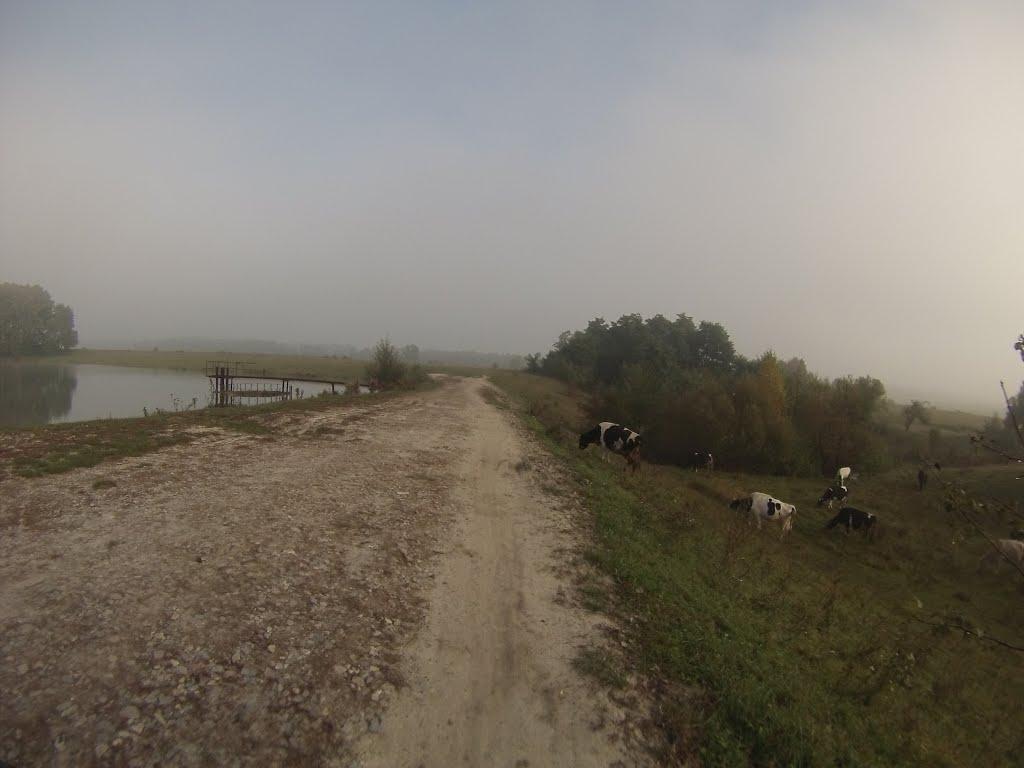 Новоград-Волинський з panoramio.com (ч.3) - Новоград-Волинський