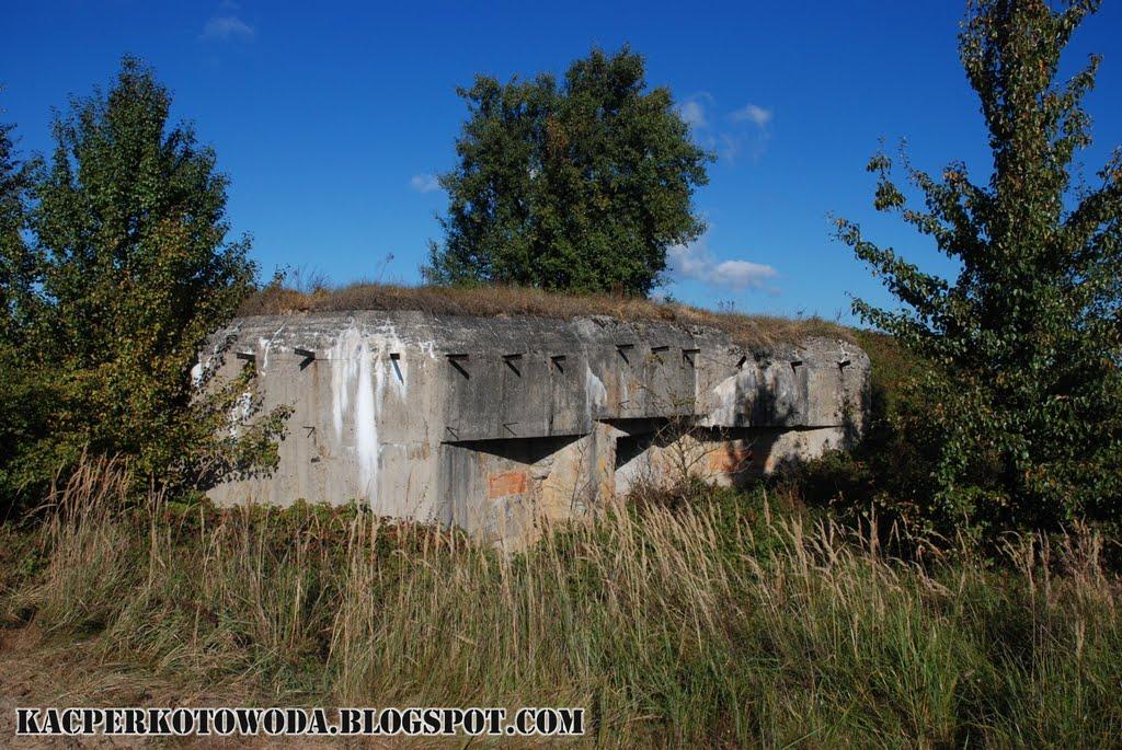 Великі Макари з panoramio.com - Velyki Makary