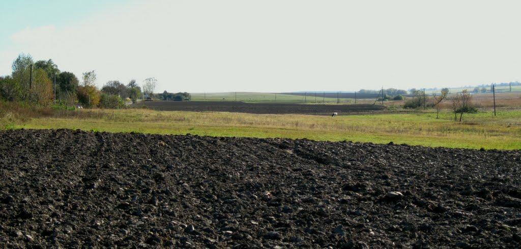 Пустомити з panoramio.com - Пустомити