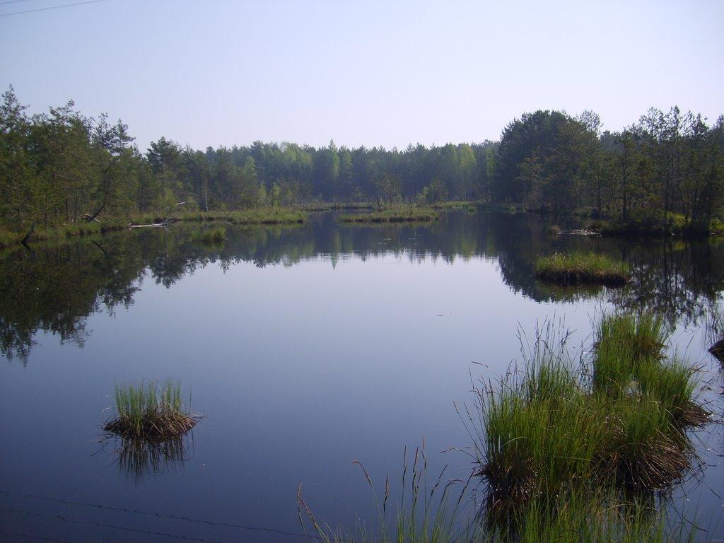 Перга з panoramio.com - Перга