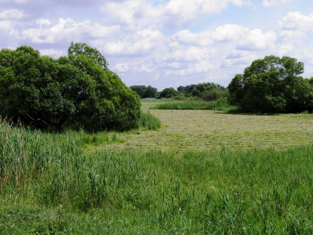 Калаглія з panoramio.com - Калаглія