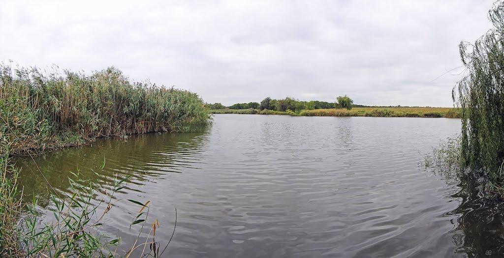 Миколаївка з panoramio.com - Николаевка