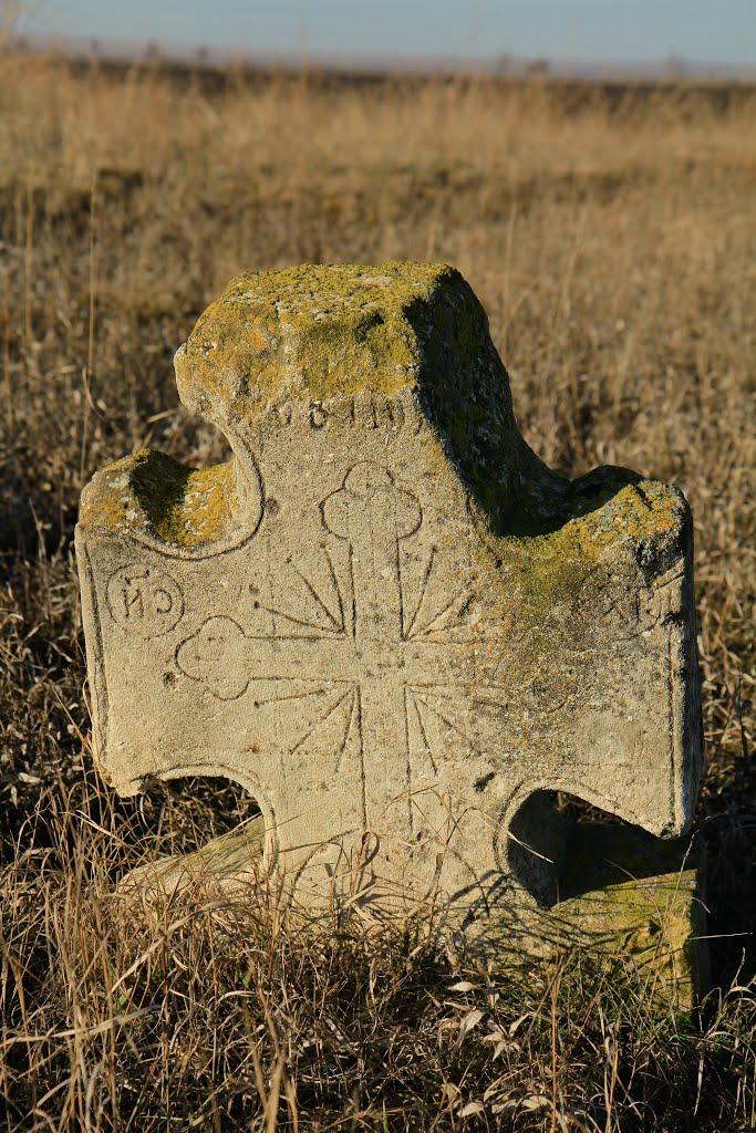 Лохівка з panoramio.com - Лохівка