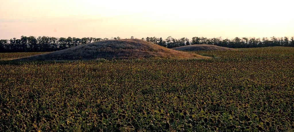 Калайтанівка з panoramio.com - Калайтанівка