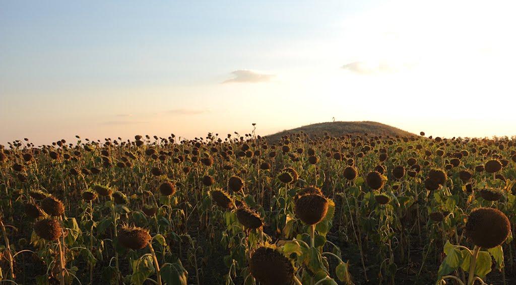 Калайтанівка з panoramio.com - Калайтанівка