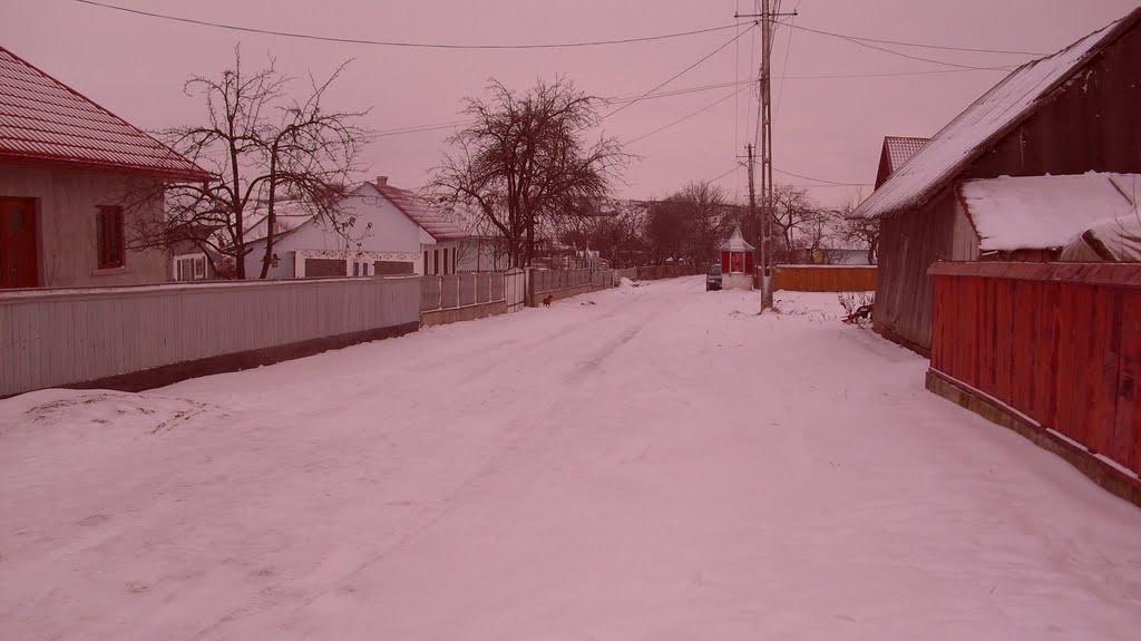 Горбівці з panoramio.com - Горбовцы