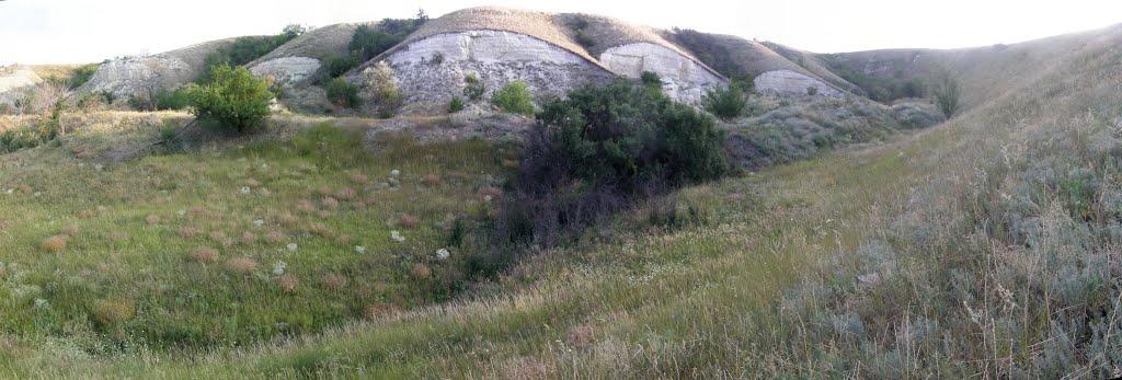 Челюскінець з panoramio.com - Челюскінець