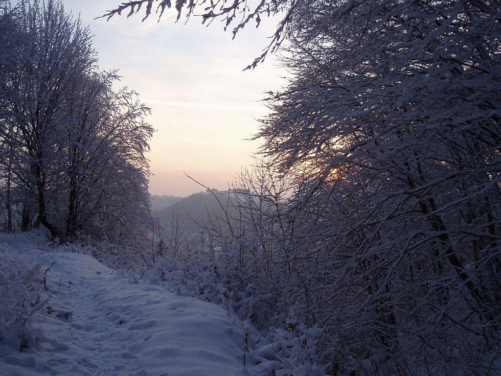 Совєтське з panoramio.com (ч.2) - Советское
