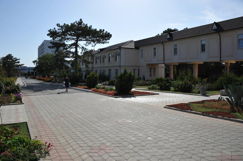 Саки з panoramio.com - Саки