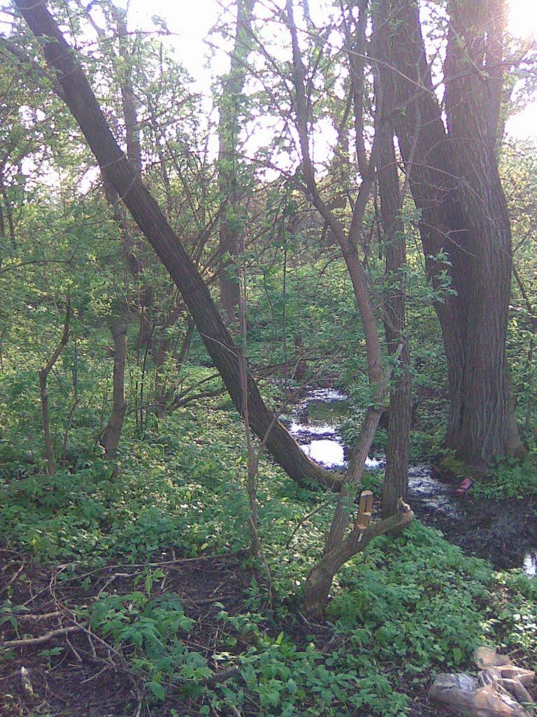 Дуліби з panoramio.com - Дуліби