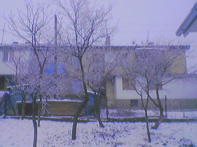 Заставна з panoramio.com - Заставна