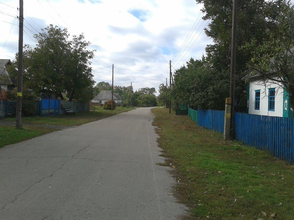 Покровська Багачка з panoramio.com - Покровська Багачка