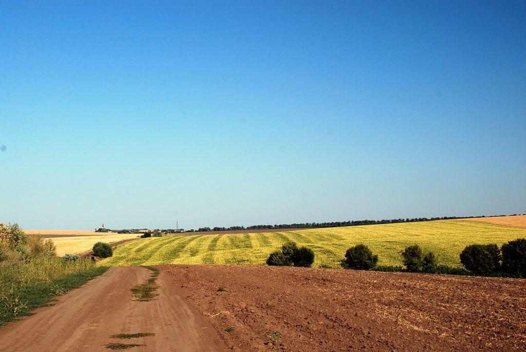 Головківка з panoramio.com - Головківка