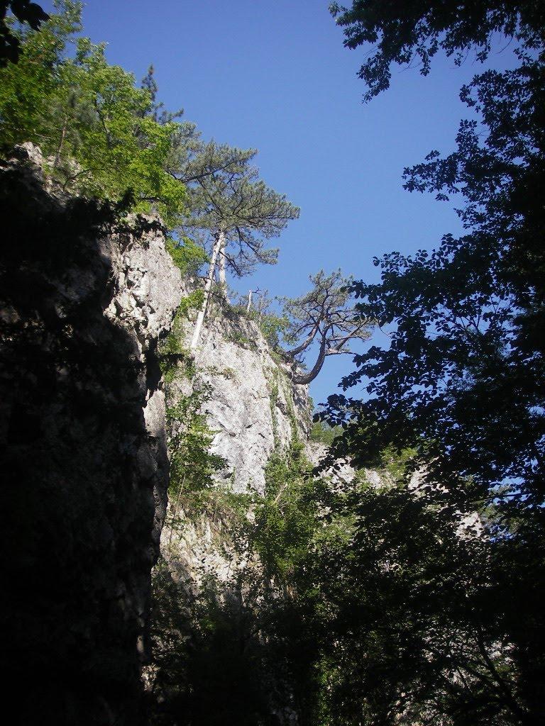 Соколине з panoramio.com (ч.2) - Соколиное