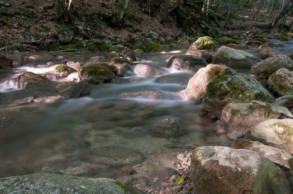 Соколине з panoramio.com (ч.2) - Соколиное
