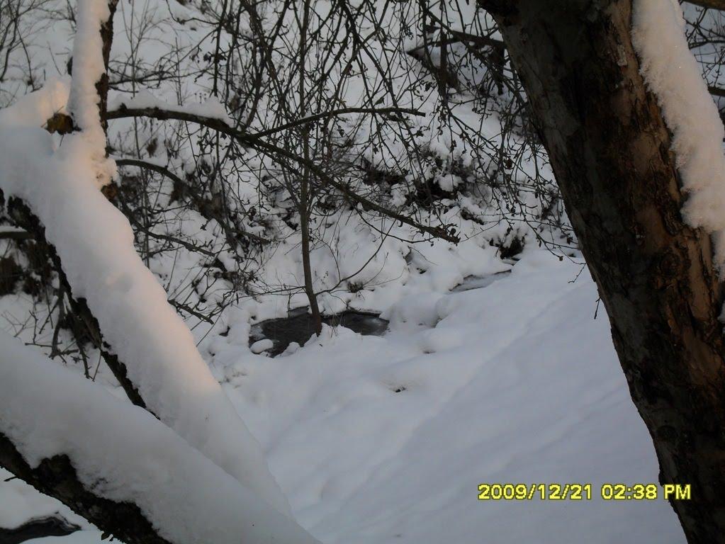 Кобилецька Поляна з panoramio.com - Кобылецкая Поляна