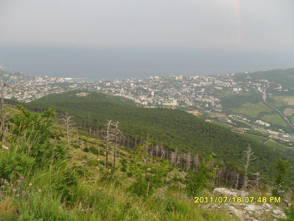 Виноградне з panoramio.com - Виноградное