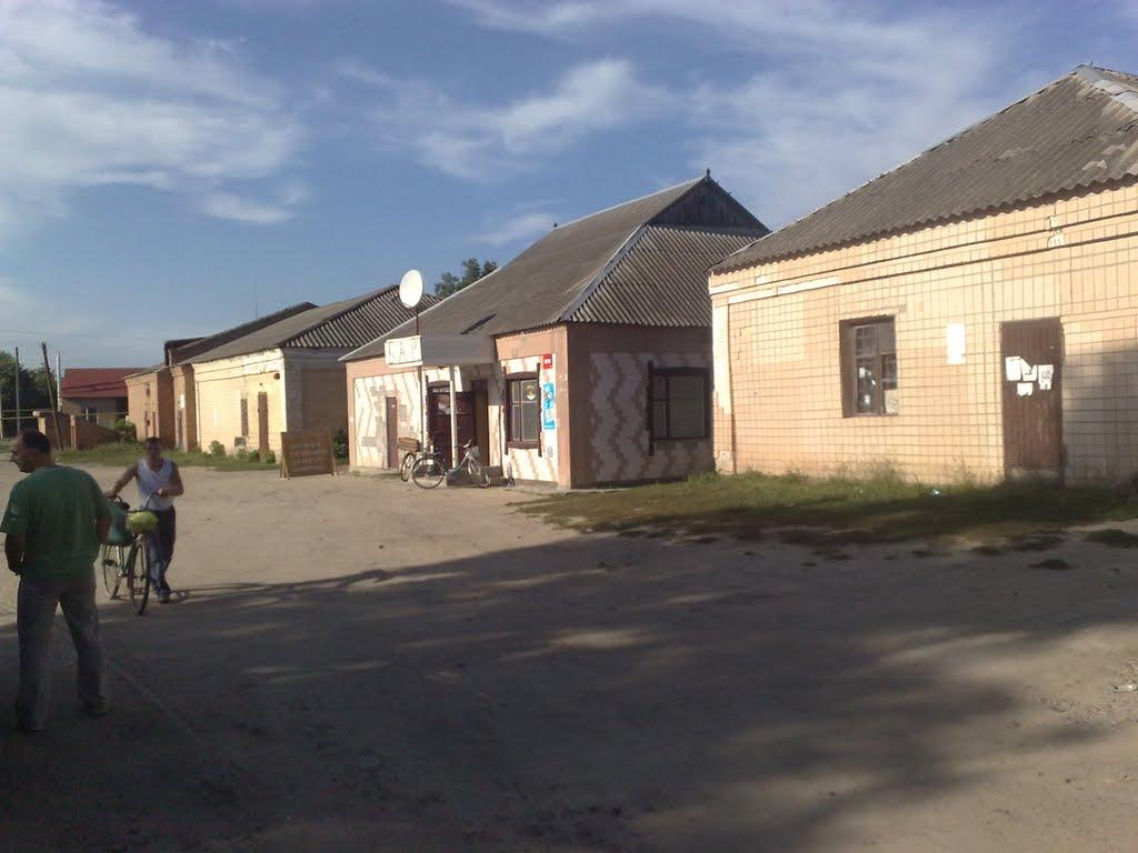 Троїцьке з panoramio.com - Троїцьке