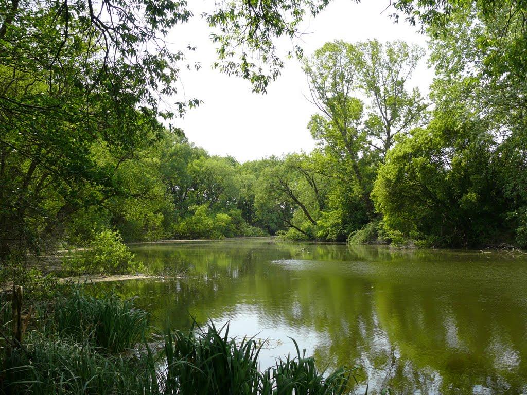 Розівка з panoramio.com (ч.2) - Розівка