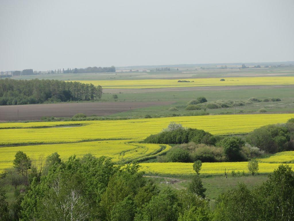 Веселе з panoramio.com - Vesele