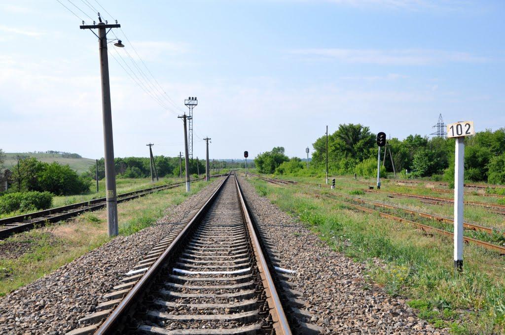 Збірне з panoramio.com - Збірне