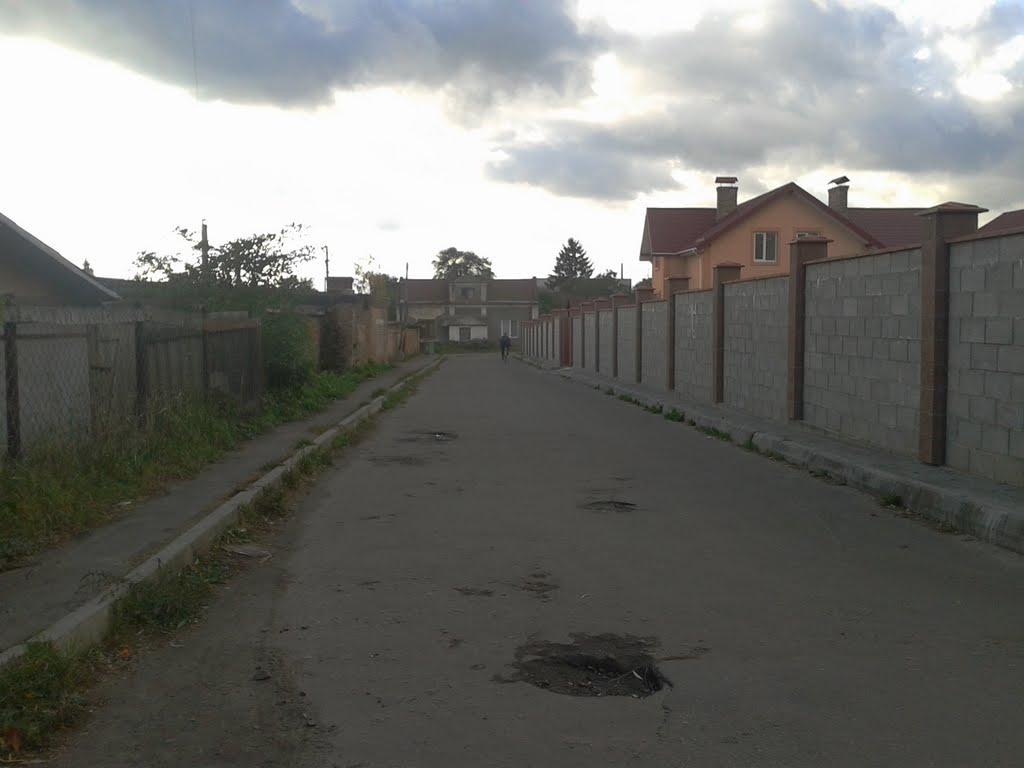 Сокаль з panoramio.com - Сокаль