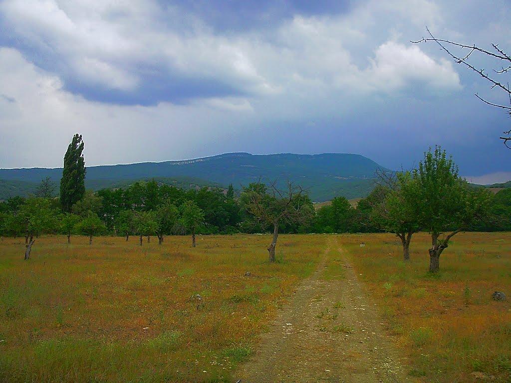 Голубинка з panoramio.com - Голубинка