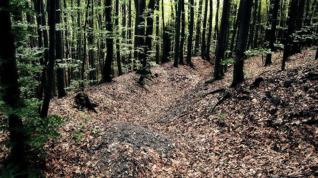 Забрідь з panoramio.com - Забродь