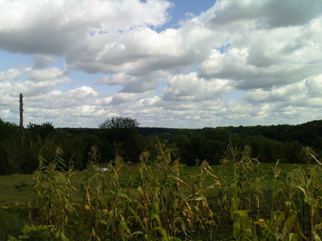 Сухоносівка з panoramio.com - Сухоносівка