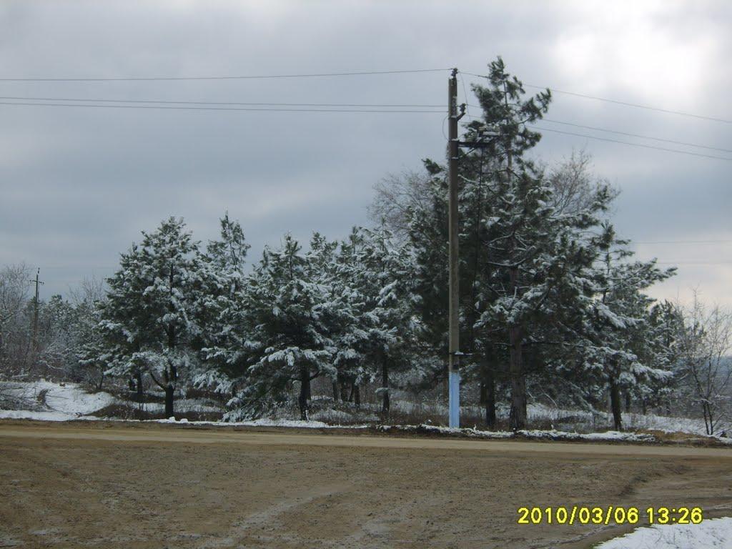 Долинка з panoramio.com - Долинка