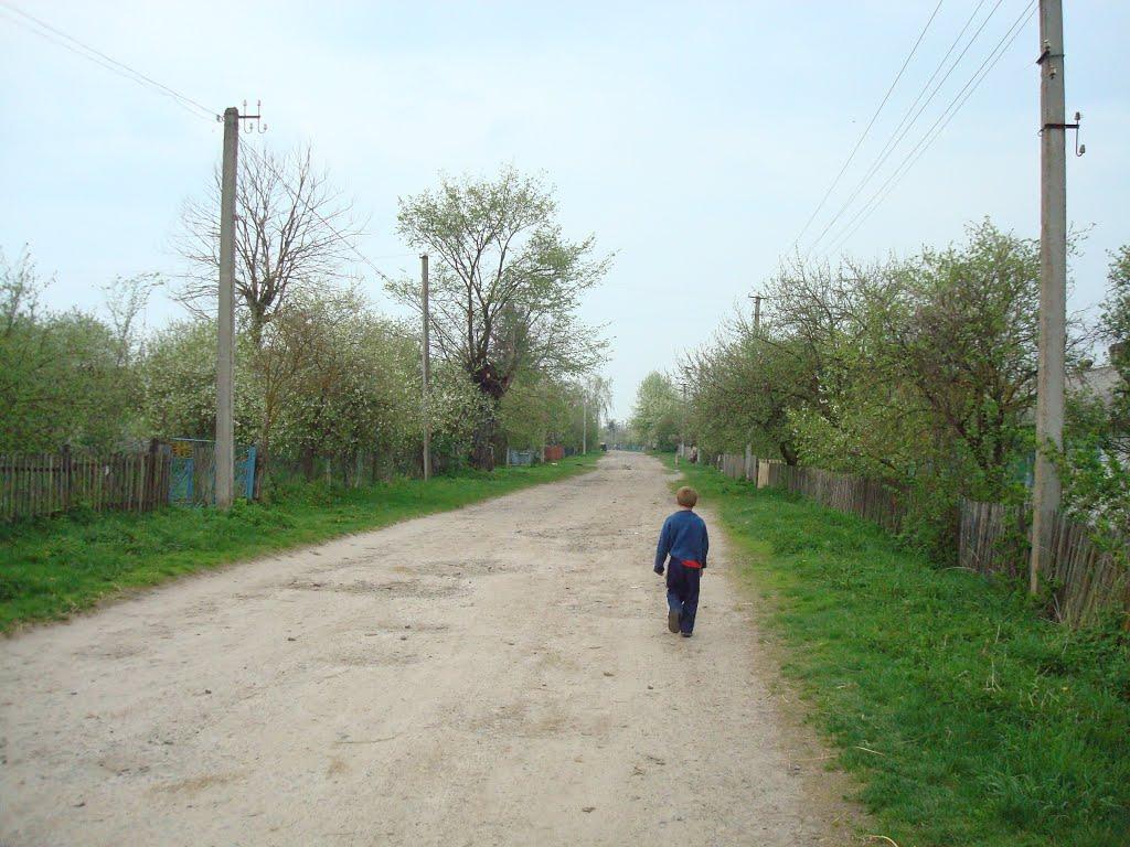 Дроздні з panoramio.com - Дроздні