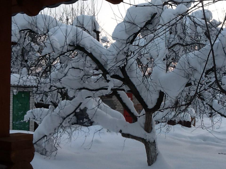 Малютянка з panoramio.com - Малютянка