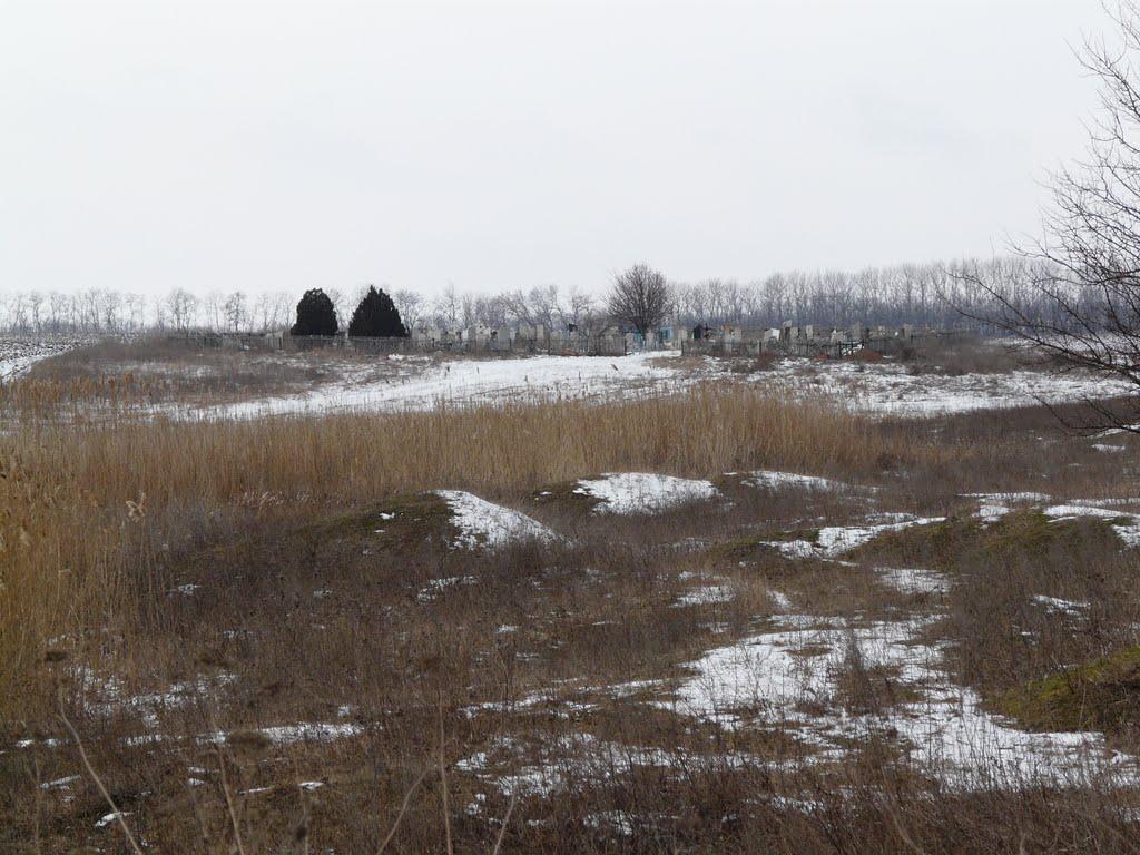 Новозар'ївка з panoramio.com - Новозар'ївка