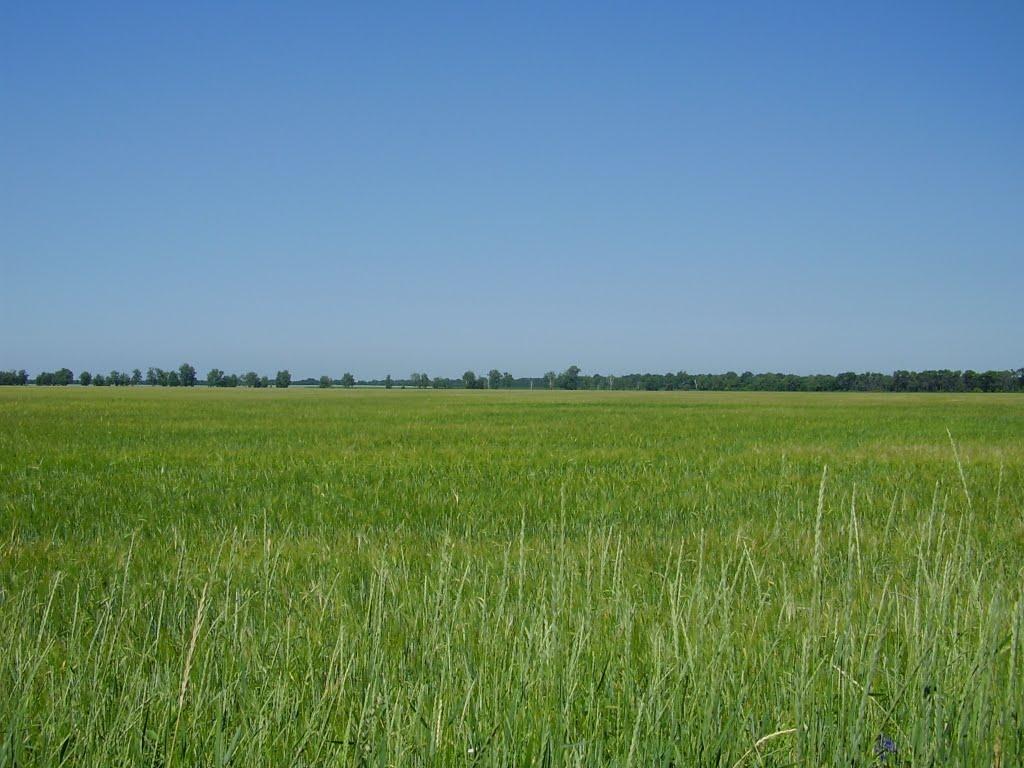 Ленінське з panoramio.com - Ленинское