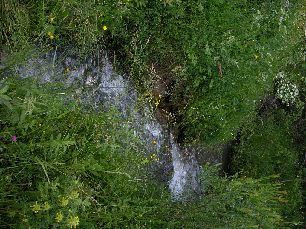 Плоске з panoramio.com - Плоске