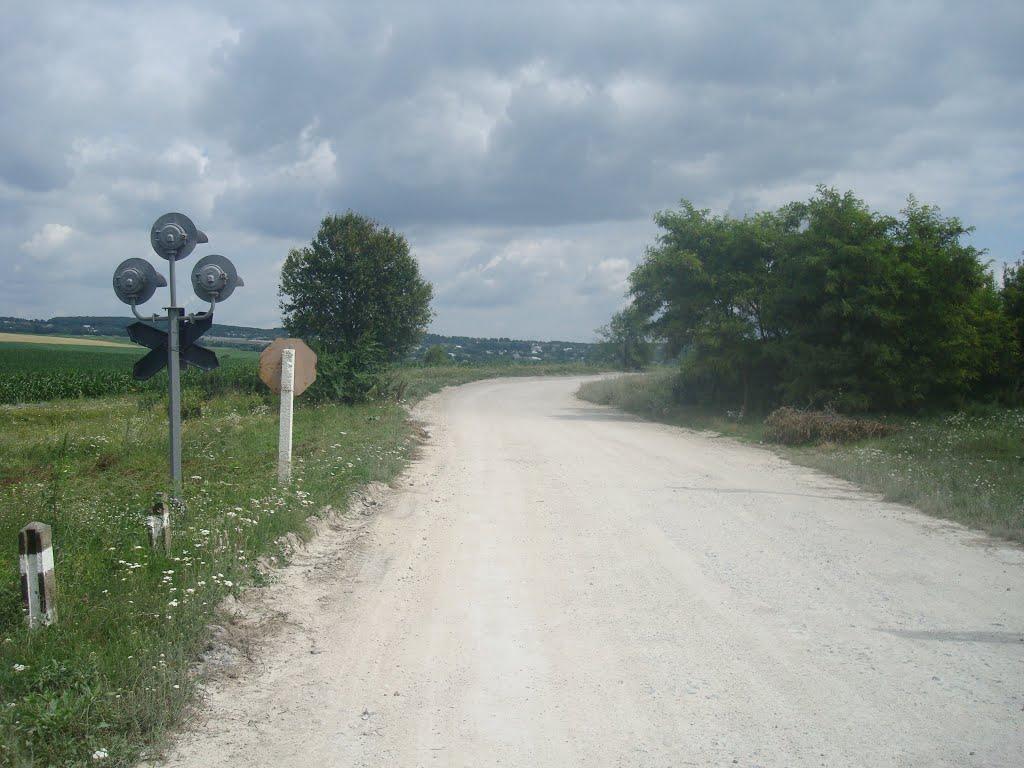 Нігин з panoramio.com - Нігин