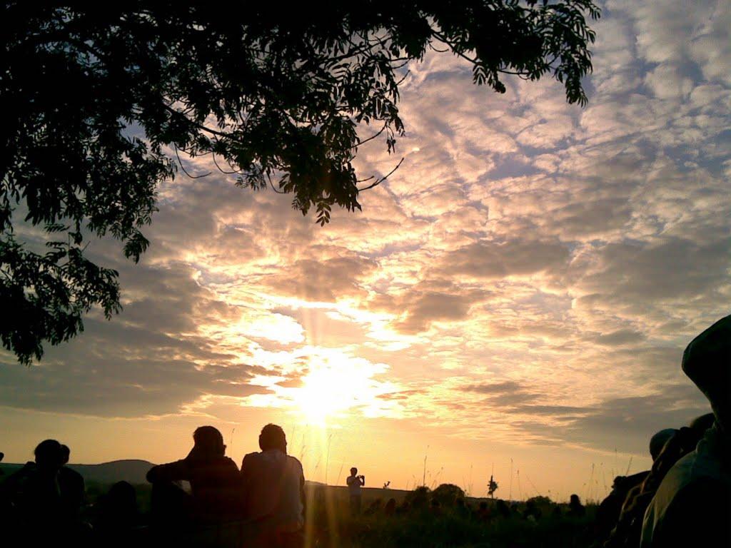 Гаї з panoramio.com - Гаї