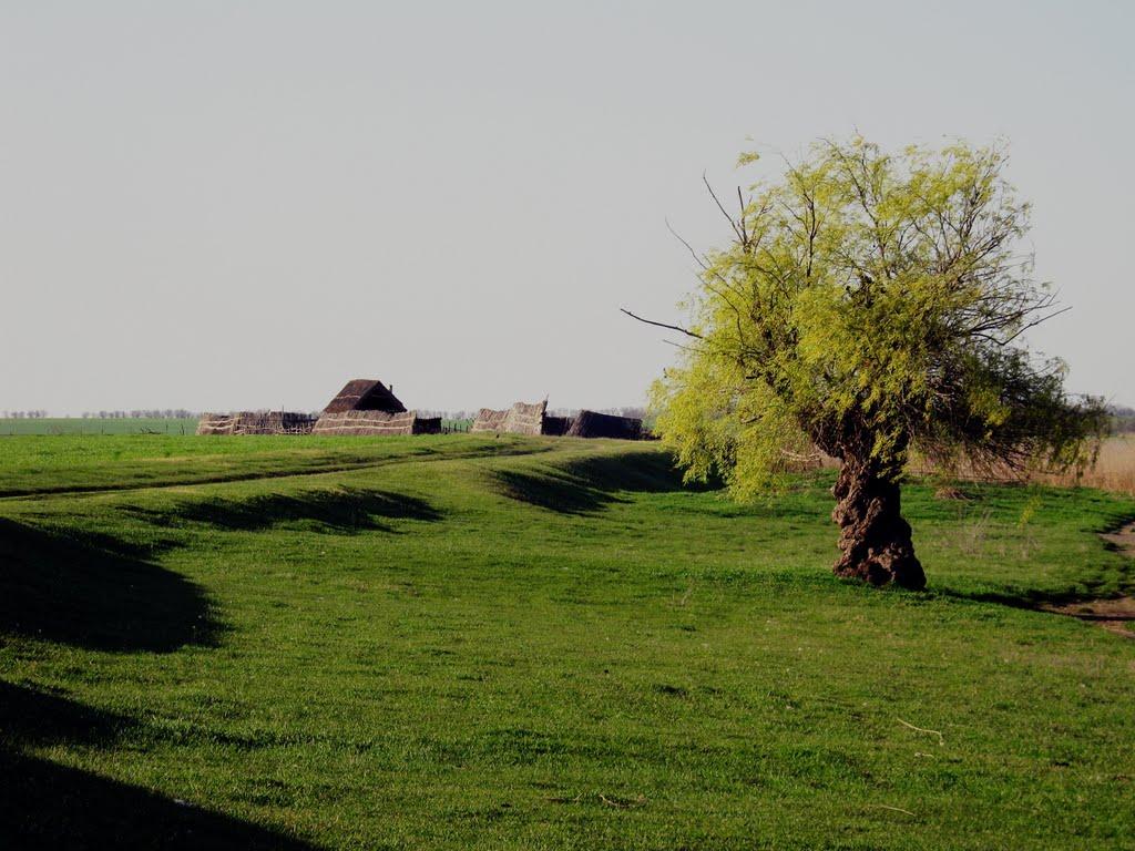 Новосільське з panoramio.com - Новосільське