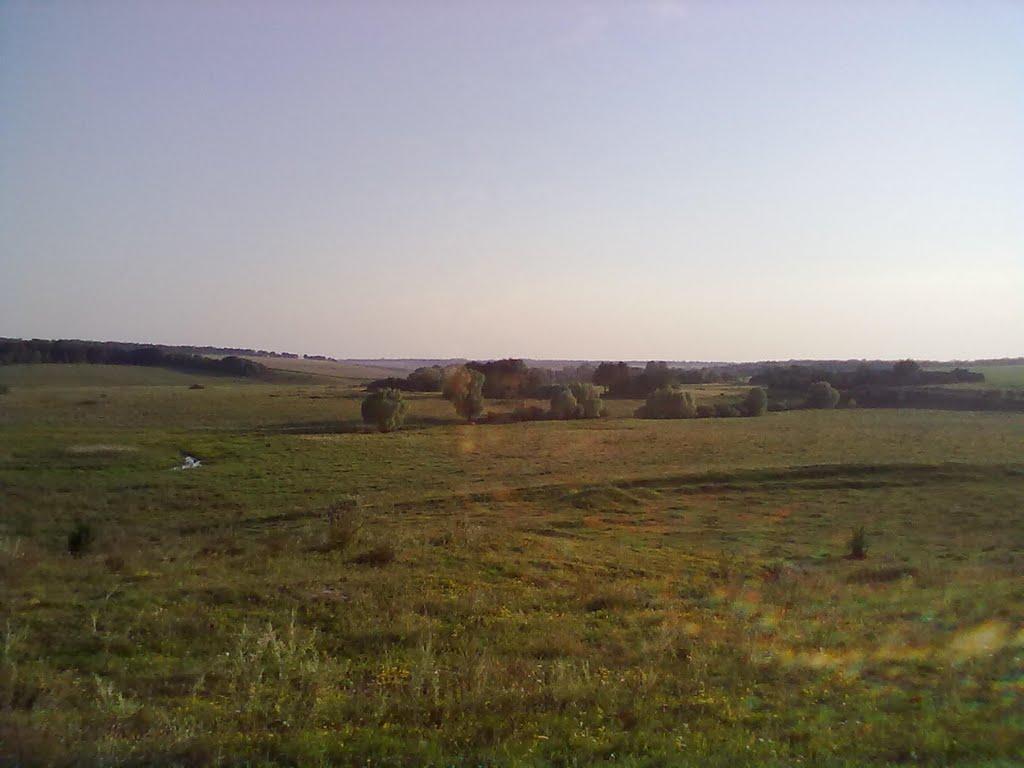 Нелюбівка з panoramio.com - Нелюбовка