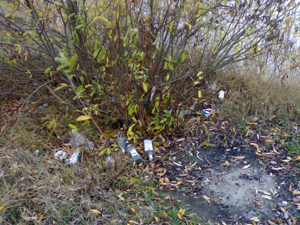 Гнідин з panoramio.com (ч.3) - Gnidyn