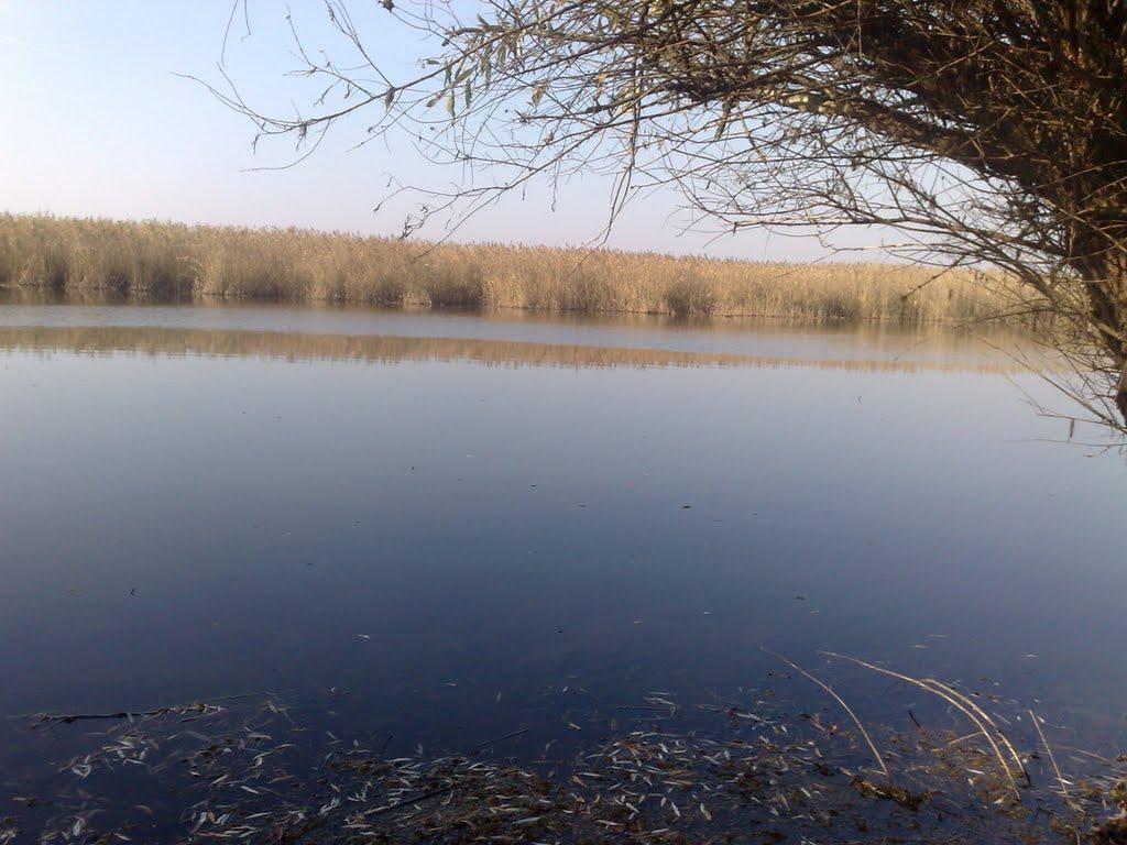 Троїцьке з panoramio.com - Троицкое