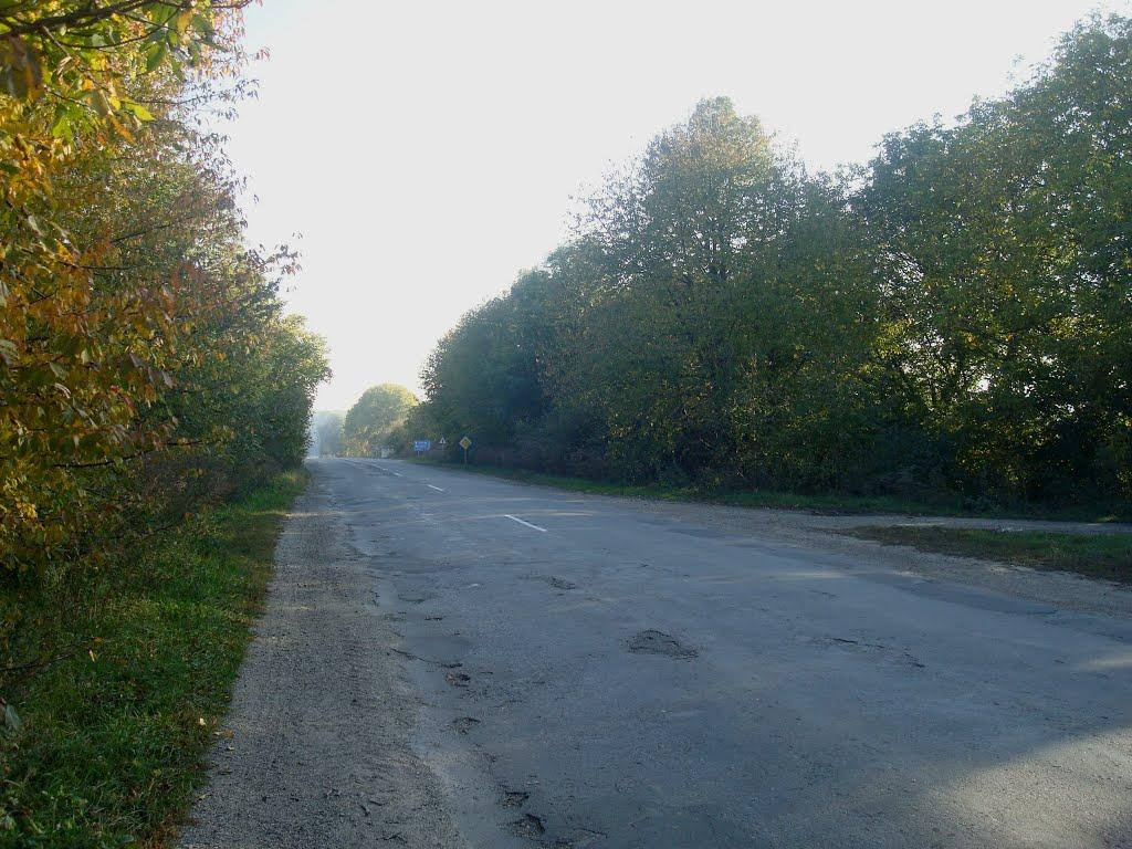 Свіршківці з panoramio.com - Свіршківці