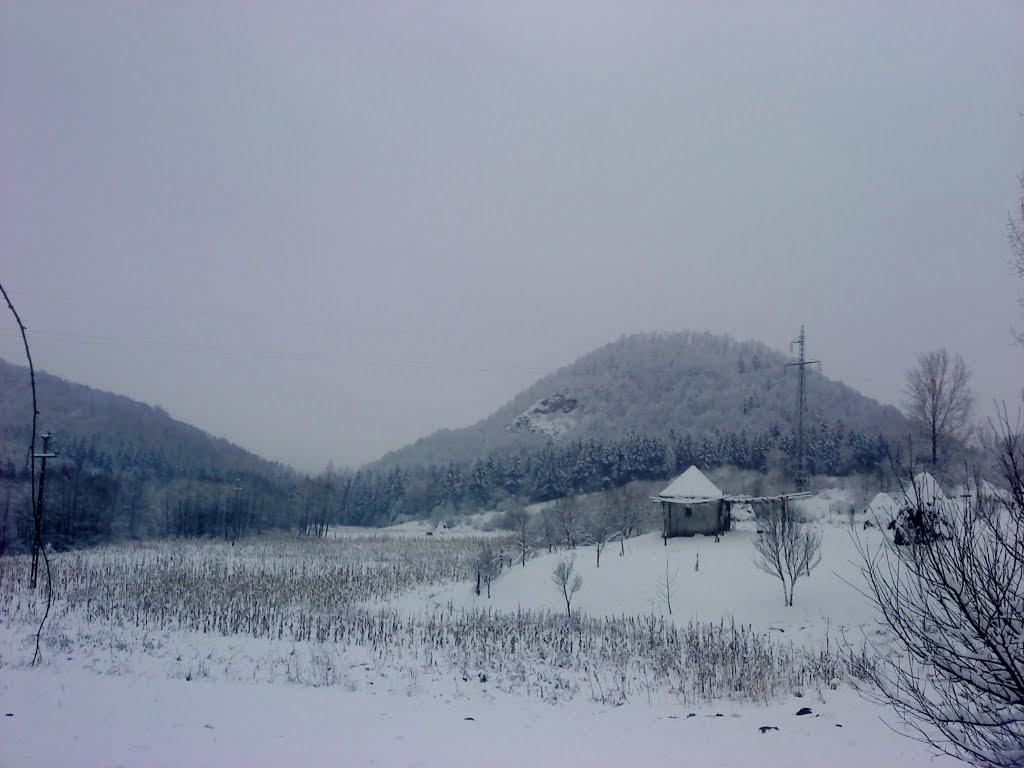 Хижа з panoramio.com - Khyzha