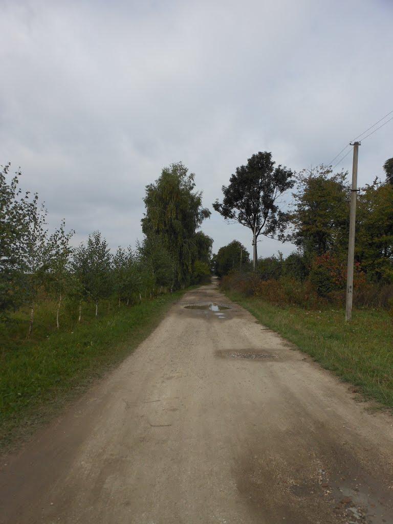 Велика Діброва з panoramio.com - Велика Діброва