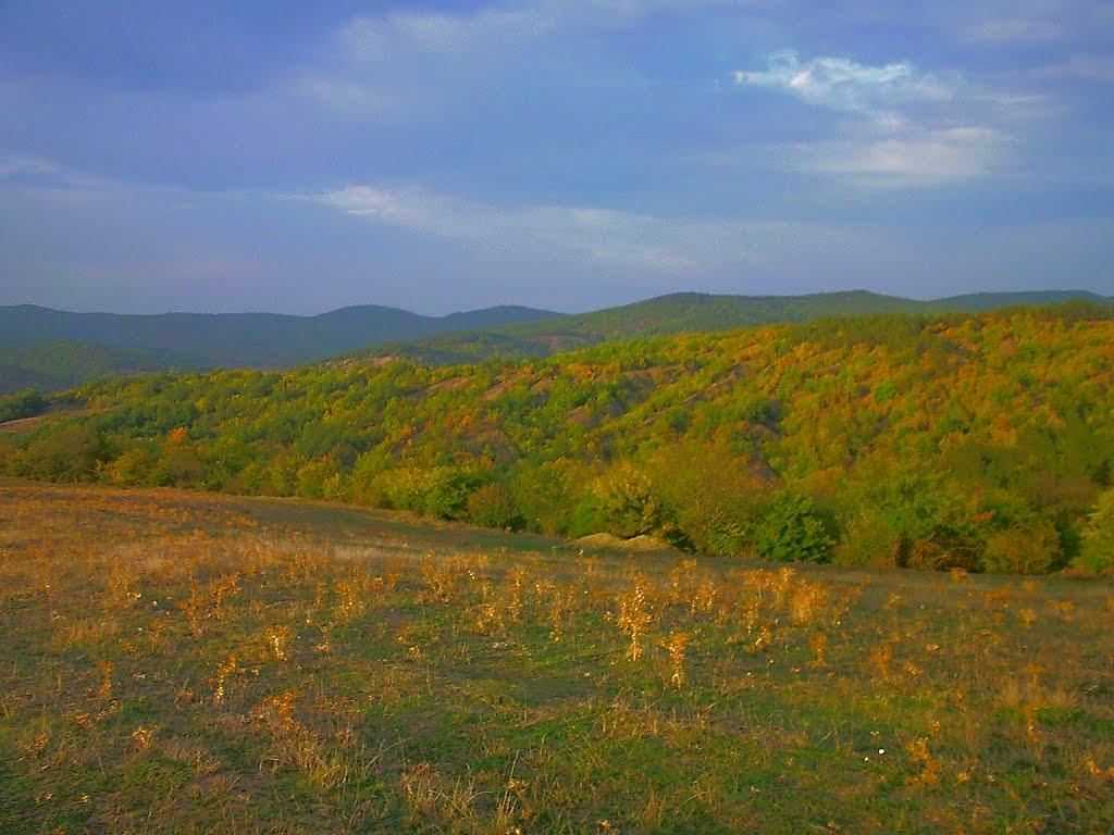 Богатир з panoramio.com - Богатир
