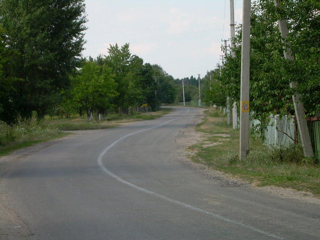 Бородані з panoramio.com - Бородані