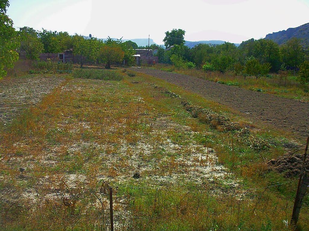Красний Мак з panoramio.com - Красный Мак